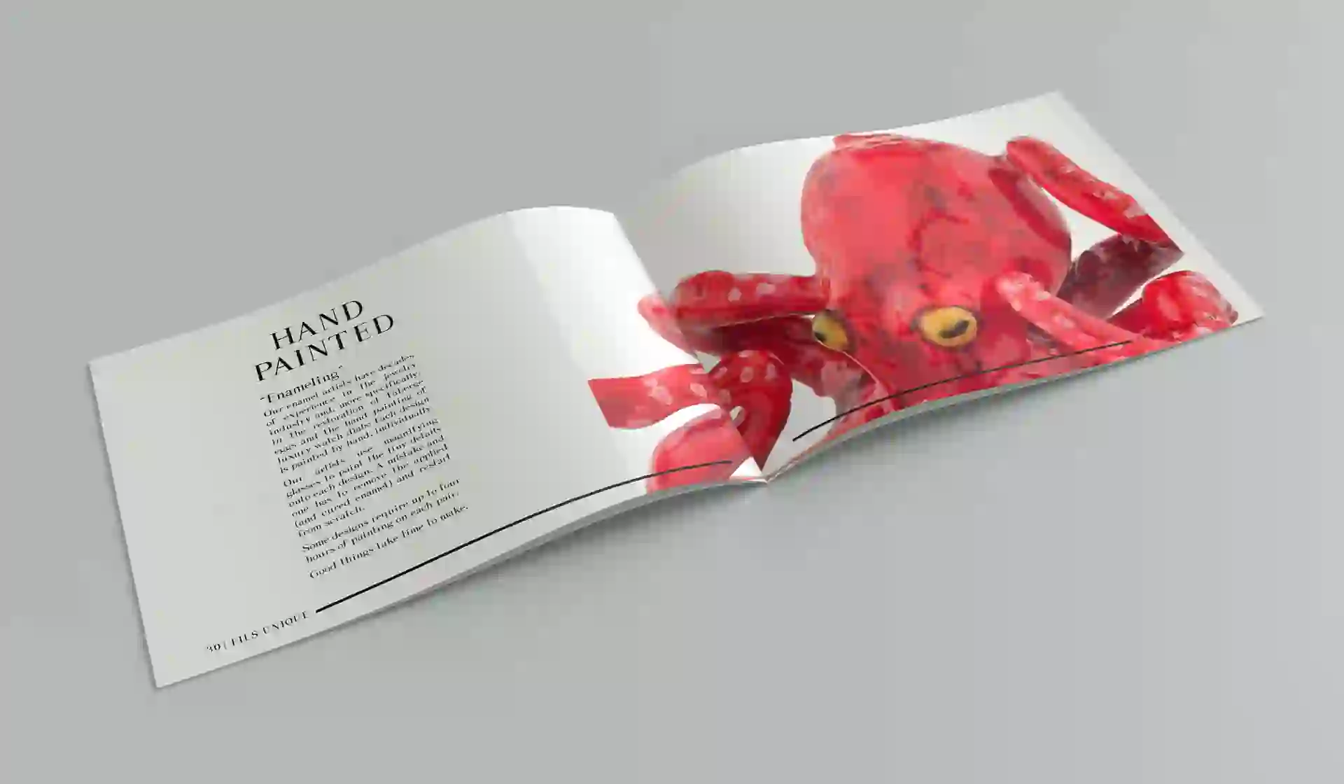 Portfolio Image